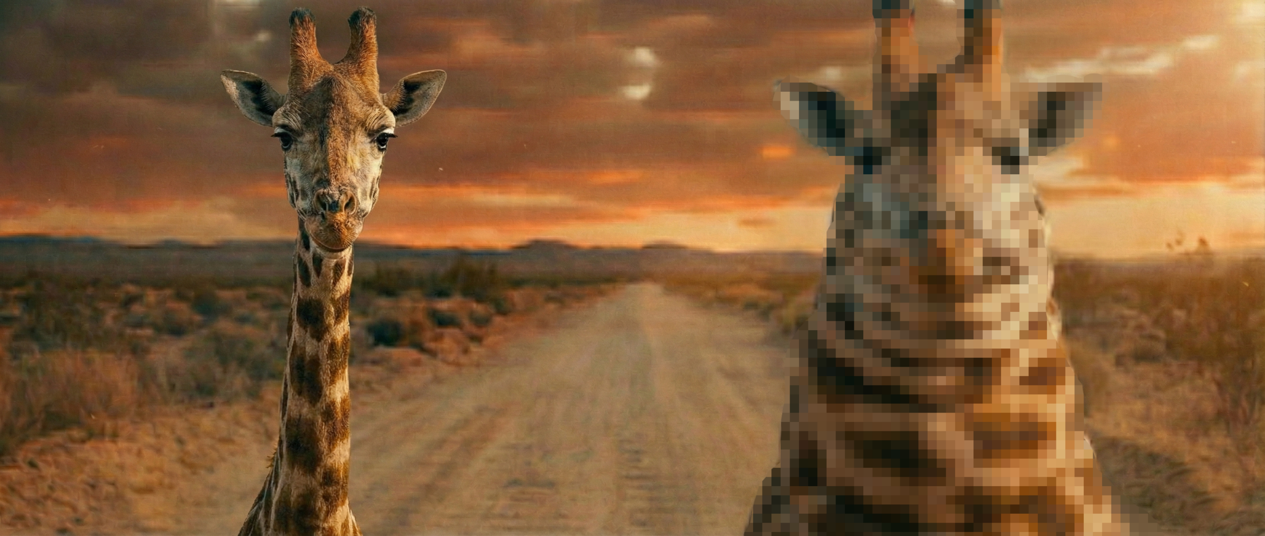 Mine is smaller than yours. And what!